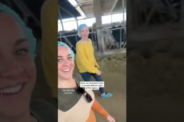 You haven’t truly lived until you’ve gone on a Parmigiano Tour