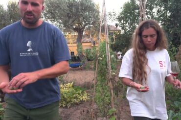 Azienda Agricola Kalma, Sicily ITA