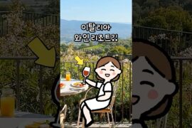 체크아웃 거부할 뻔🥹사우나하고 수영장 가고 와인 저녁 즐긴 이탈리아 숙소