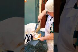 Eating STREET FOOD in Naples 🇮🇹 #italy #italianfood #napoli #streetfood #naples #shorts