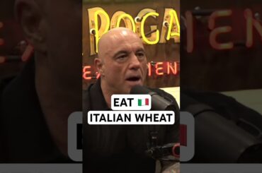 Why Italian Flour Pizza is Better 🇮🇹 Joe Rogan and Pierre Pollievre