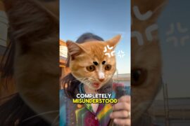 One of the most fun wines from Italy! #wineeducation #winetasting #winelover #learnwithfun #wine