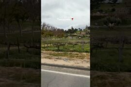 Highly recommend wine tasting in Temecula bottaiawinery 🍷 #socallife #temecula #socal #winetasting