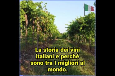 Discover Why Italian Wines Are Among the World's Best #ItalianWine #WineLovers