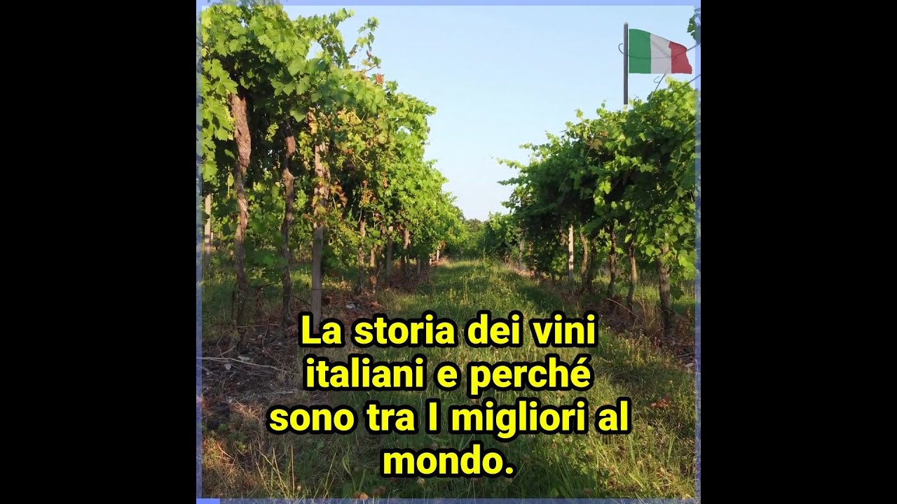 Discover Why Italian Wines Are Among the World’s Best #ItalianWine #WineLovers Discover Why Italian Wines Are Among the World's Best #ItalianWine #WineLovers
