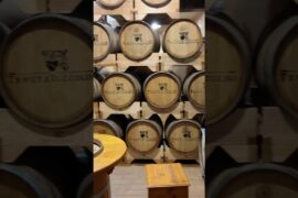 Лучшее вино Италии 😋 #италия #тревелвлог #жизньвиталии #калабрия #городаиталии #путешествия