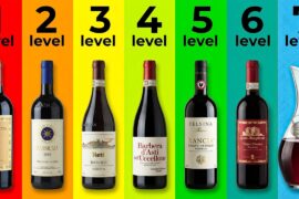 7 Levels of Italian Red Wine