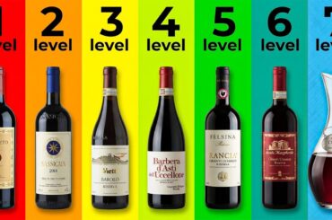 7 Levels of Italian Red Wine