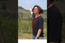 Four generations. One vision. One land. Villadoria.