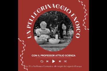 Ep. 2643 Ep. 8: La Via Romea Germanica, alle origini dei vigneti d’Europa | Pellegrinaggio Enoico...