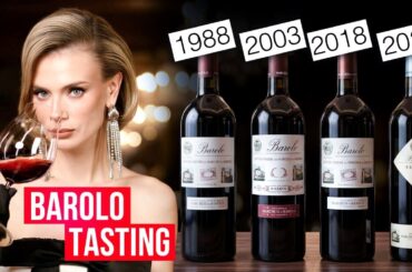 NEVER drink young Barolo! And here is why…
