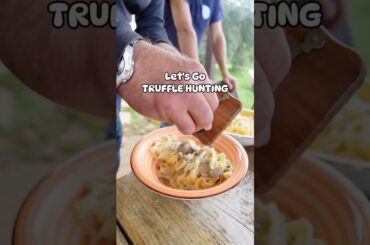 A Guide to Truffle Hunting in Italy