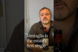 Ventaglio 2020, Tenuta Argentiera's Exceptional Single-Vineyard Cabernet Franc from Bolgheri