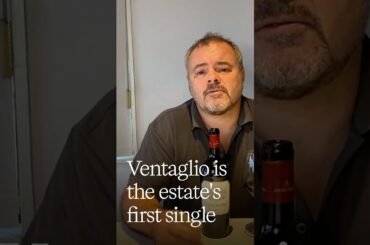Ventaglio 2020, Tenuta Argentiera's Exceptional Single-Vineyard Cabernet Franc from Bolgheri