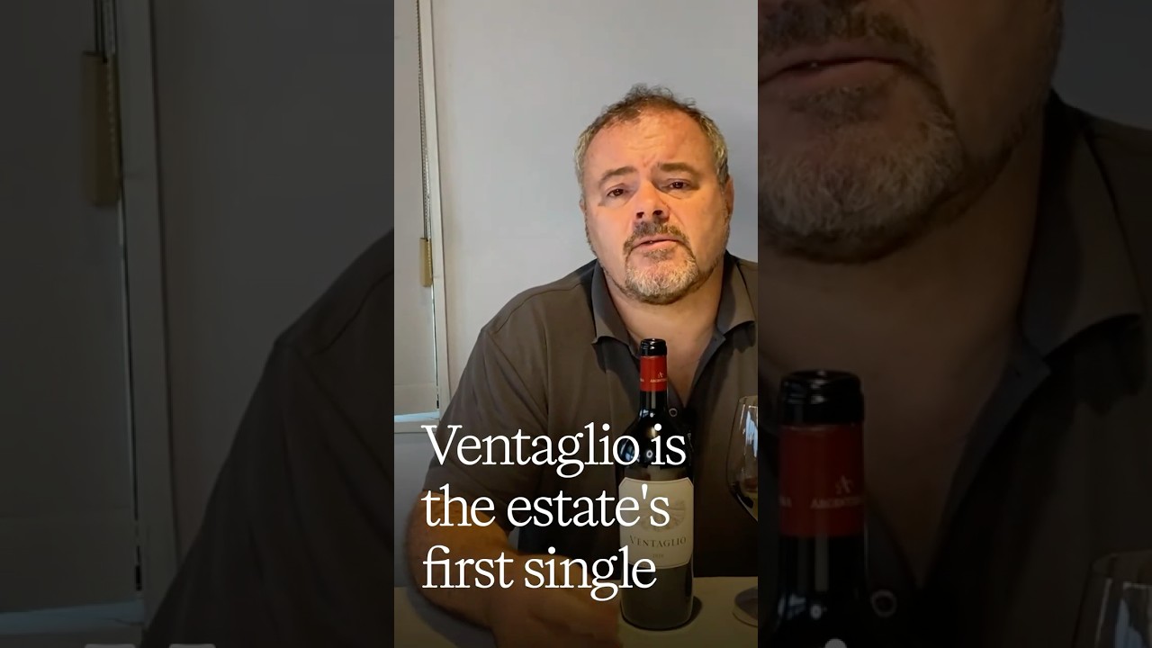 Ventaglio 2020, Tenuta Argentiera’s Exceptional Single-Vineyard Cabernet Franc from Bolgheri Ventaglio 2020, Tenuta Argentiera's Exceptional Single-Vineyard Cabernet Franc from Bolgheri