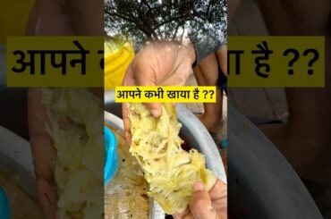 Making Of Bihari Litti Chokha On Cow Dung | Village Style Cooking #short #shorts #jeevchatora