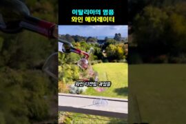 이탈리아의 명품 와인 에어레이터