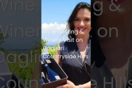 Wine Tasting & Winery Visit on Cagliari Countryside Hills