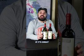 What 40 Years Did to This Iconic Italian Wine