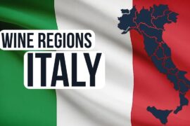 131. Journey of Wine Regions: Italy