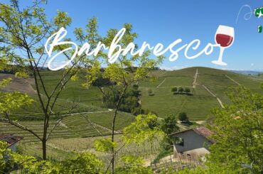 Learn Italian with Vlogs: Barbaresco, the City of Wine 🍷!  🇮🇹 (ENG subs)
