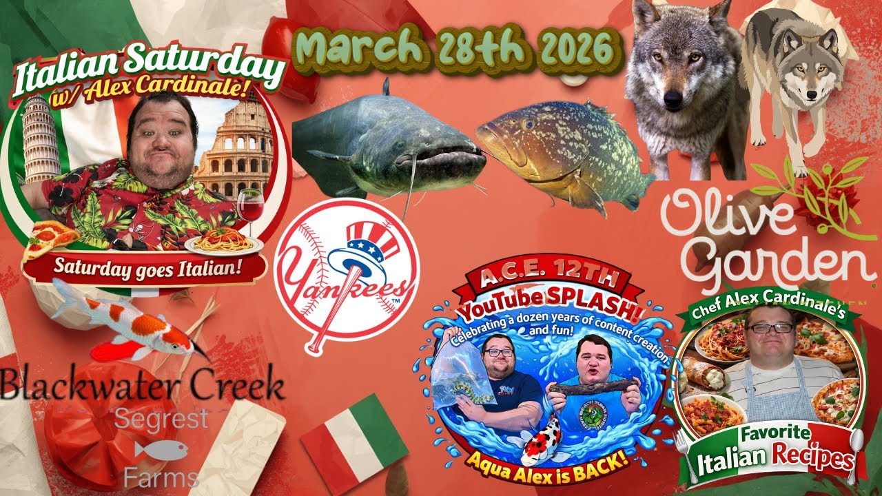 Italian Saturday w/ Alex Cardinale: March 28th, 2026 Italian Saturday w/ Alex Cardinale: March 28th, 2026