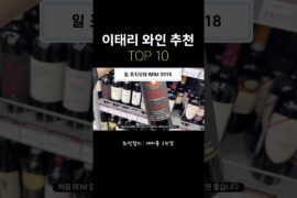 이태리 와인 최강 가성비만 꼽았어요 #와인 #와인추천 #wine #이태리와인 #바롤로