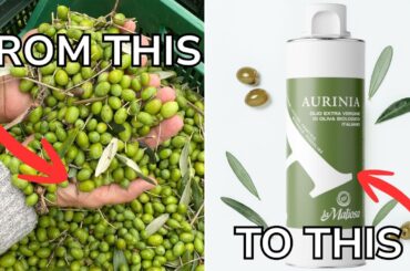 What Exactly Is EXTRA VIRGIN OLIVE OIL? (And Why Not All EVOOs Are Alike)