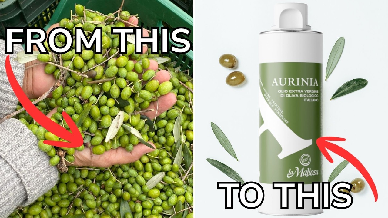 What Exactly Is EXTRA VIRGIN OLIVE OIL? (And Why Not All EVOOs Are Alike) What Exactly Is EXTRA VIRGIN OLIVE OIL? (And Why Not All EVOOs Are Alike)