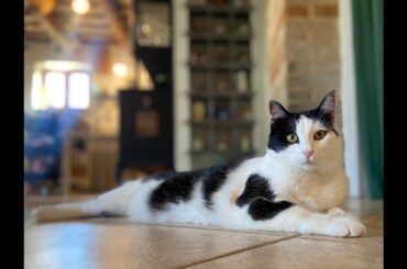 #31 Italy Chapter 2 Le Marche