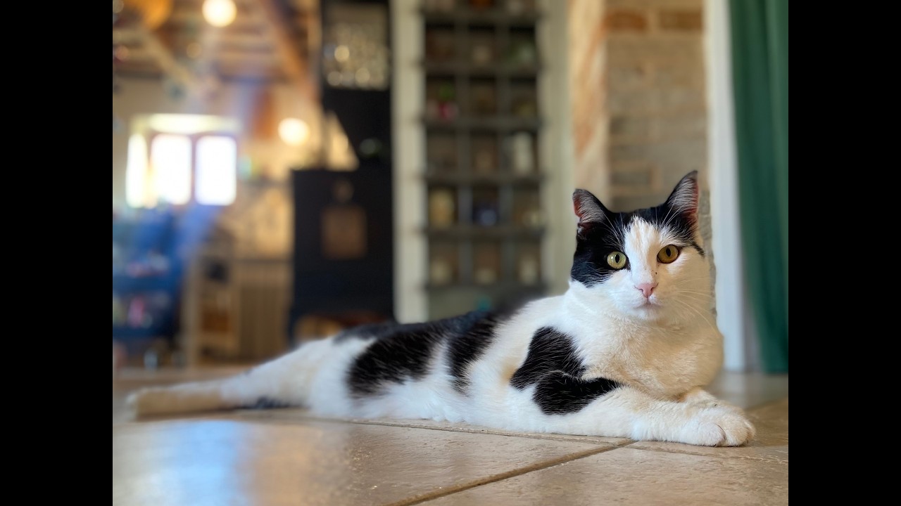 #31 Italy Chapter 2 Le Marche #31 Italy Chapter 2 Le Marche