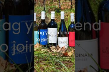 Boutique Winery Visit & Tasting near Rome