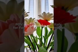 POV: You’ve arrived in Italy for the Founders Freedom Retreat 🇮🇹