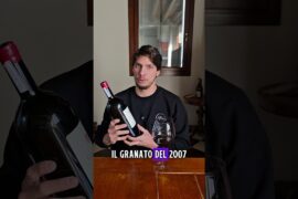 VINO NATURALE ICONICO ITALIANO 🇮🇹🍷👋