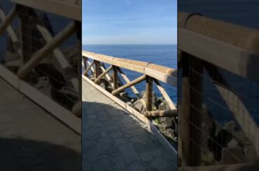 GREAT PLACE #italy #Riomaggiore #shorts #sea #birds #tourism #travel #entertainment #impressions