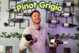 Which Wine is Best Pt 2