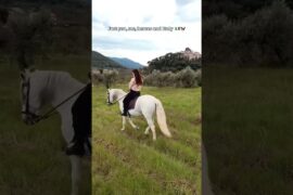 Just you, me, horses and Italy 🇮🇹🐎