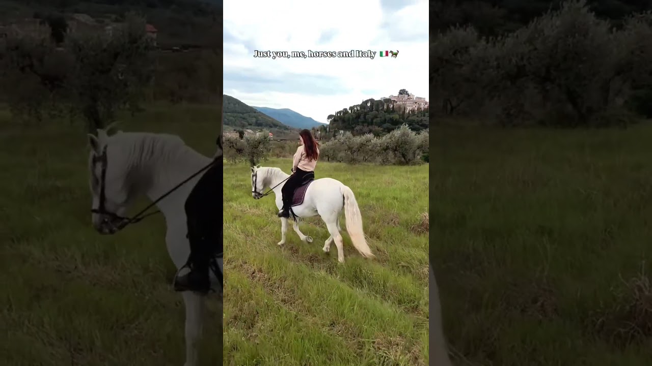 Just you, me, horses and Italy 🇮🇹🐎 Just you, me, horses and Italy 🇮🇹🐎