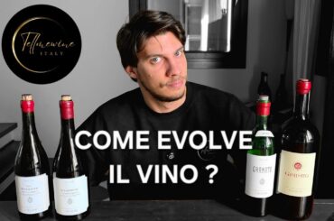 EVOLUZIONE DI UN VINO NEGLI ANNI 🍷👀