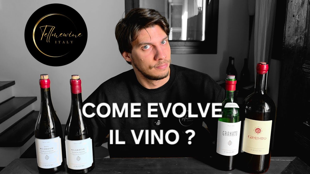 EVOLUZIONE DI UN VINO NEGLI ANNI 🍷👀 EVOLUZIONE DI UN VINO NEGLI ANNI 🍷👀