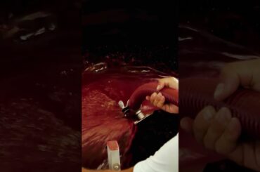 The Pursuit of Wine Innovation in a Traditional Italian Appellation