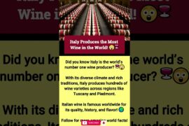 Italy Produces the Most Wine in the World! 😲🍷