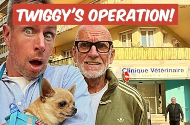 Twiggy’s Operation!  How Expensive Are Vets In South Of France?