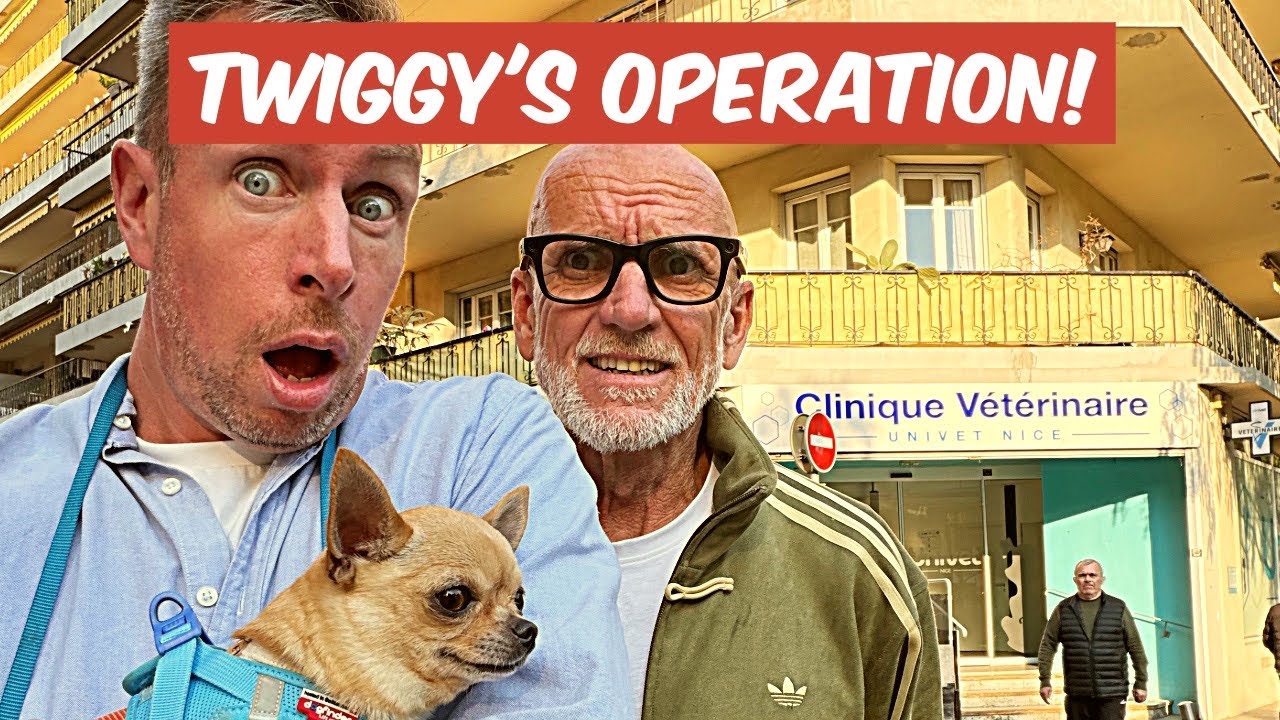 Twiggy’s Operation! How Expensive Are Vets In South Of France? Twiggy’s Operation! How Expensive Are Vets In South Of France?