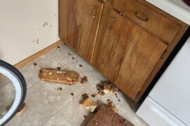 Made my very first pizza from scratch today, made a big mistake while cutting it.