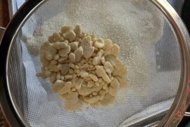 Semolina Frascarelli