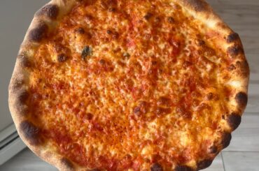 Sourdough NY Style Pizza - Petra 5037 Flour