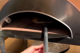 Neapolitan pizza with onions