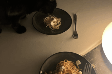 me and kitty enjoying some spaghetti