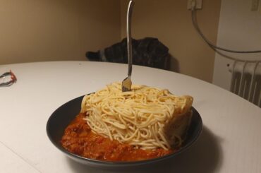 Spaghetti bolognese for your pleasure!